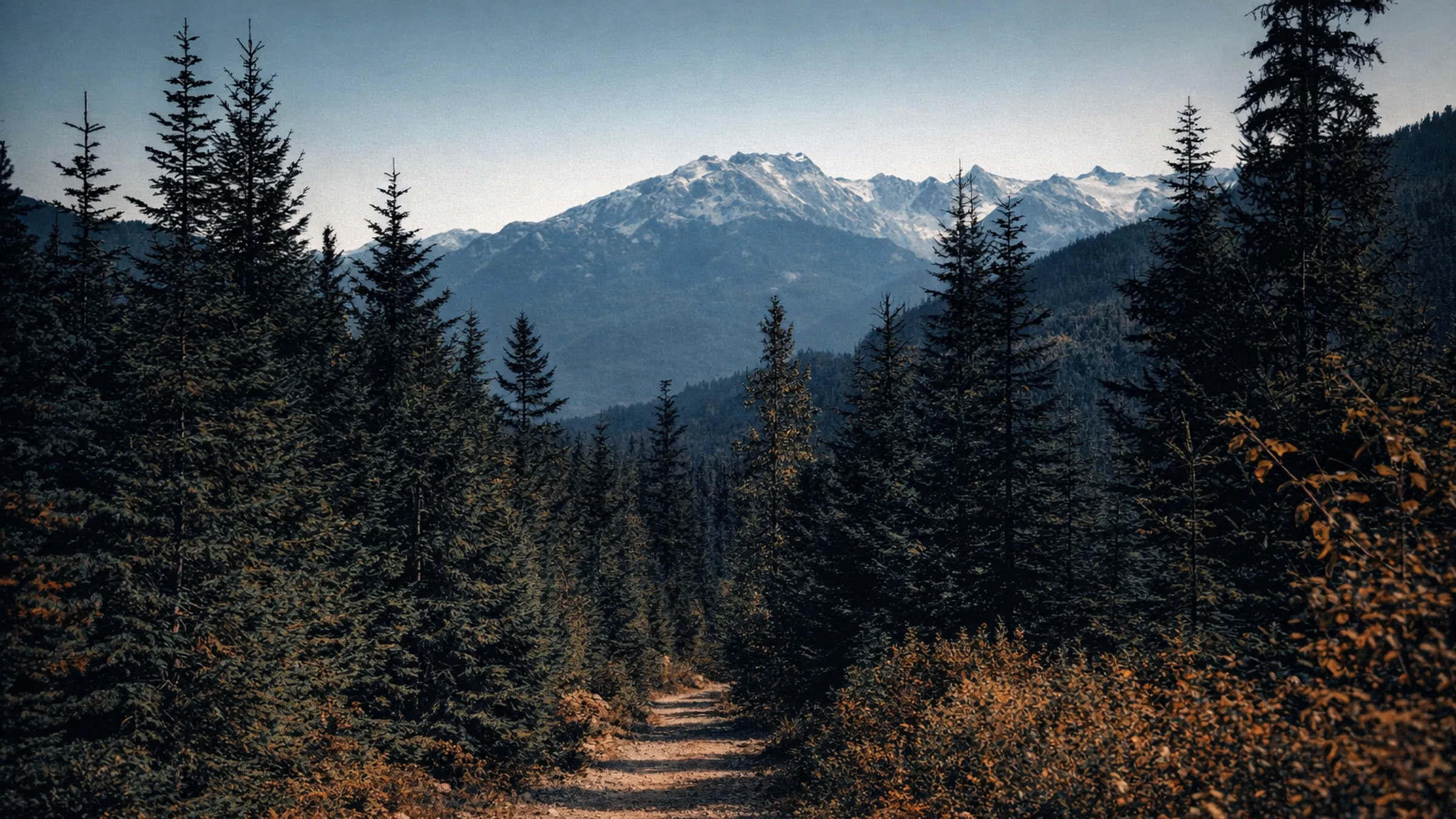 Mountain trail through real terrain